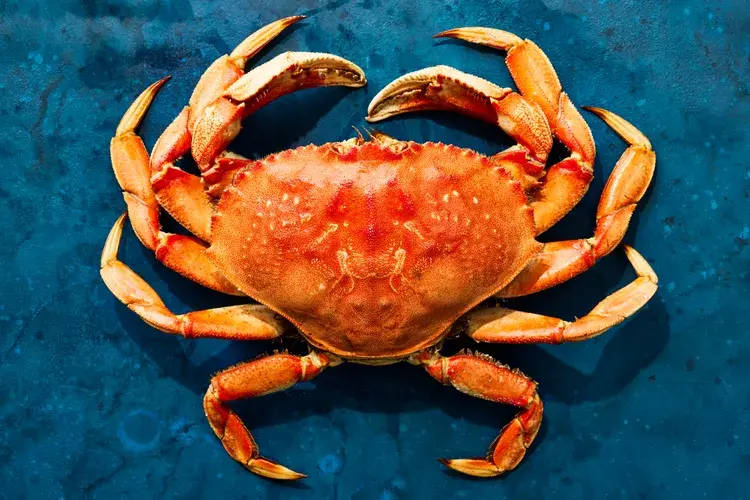 Dungeness Crab by foodandwine.com