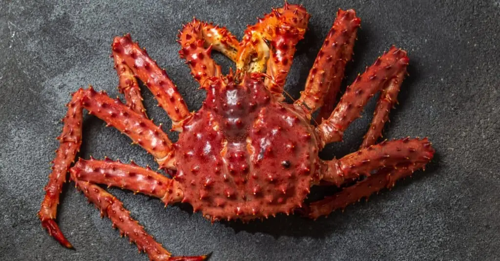 King Crab by a-z-animals.com